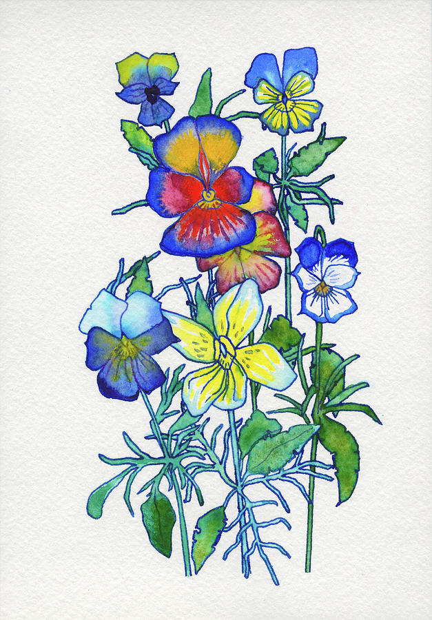 Summer Flowers Drawing by Anna Ap Fine Art America