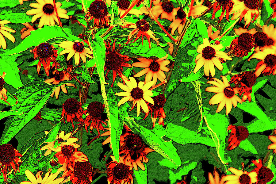 Summer Flowers Digital Art by David Stasiak