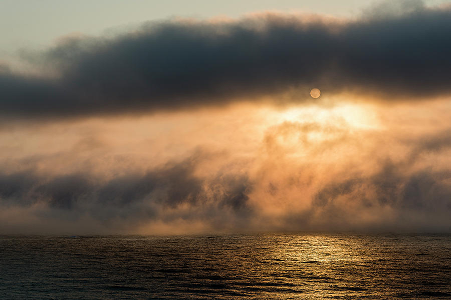 Summer Fog Photograph by Robert Potts