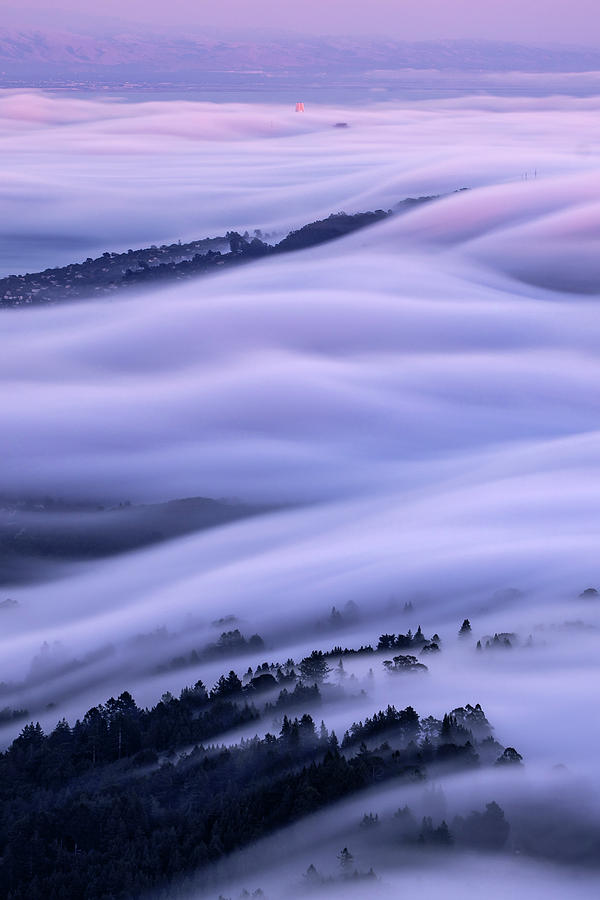 Fog Day Afternoon Photograph by Vincent James