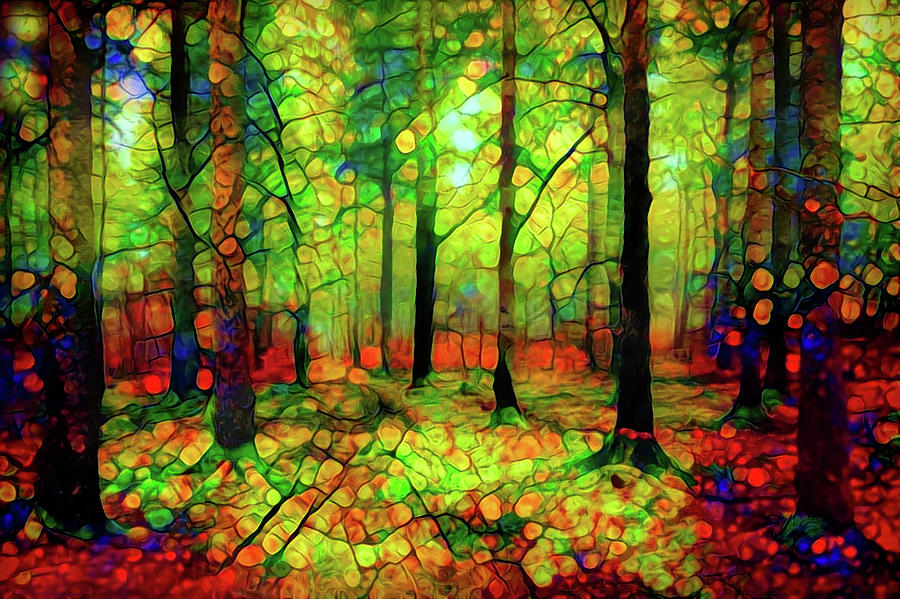 Summer Forest Mixed Media by Lilia S