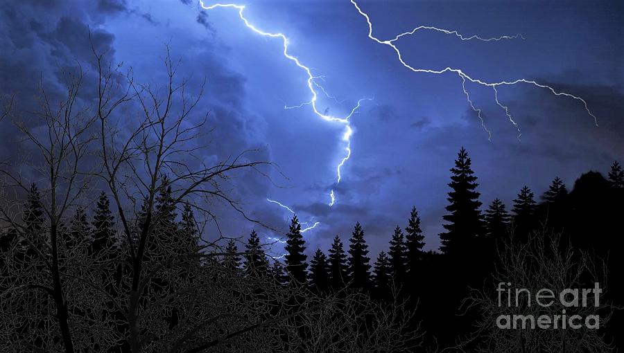 Summer Forest Storm Photograph by Anthony Djordjevic