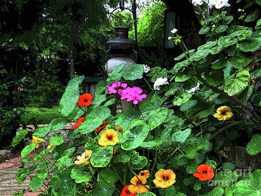 Summer Garden Blooms Photograph by Hazel Holland