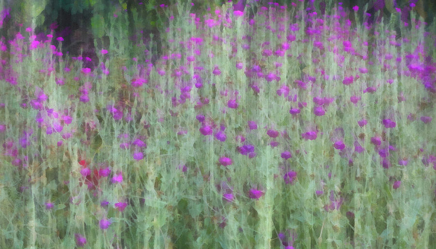 Flower Digital Art - Summer Garden Impression - flower art by Ann Powell