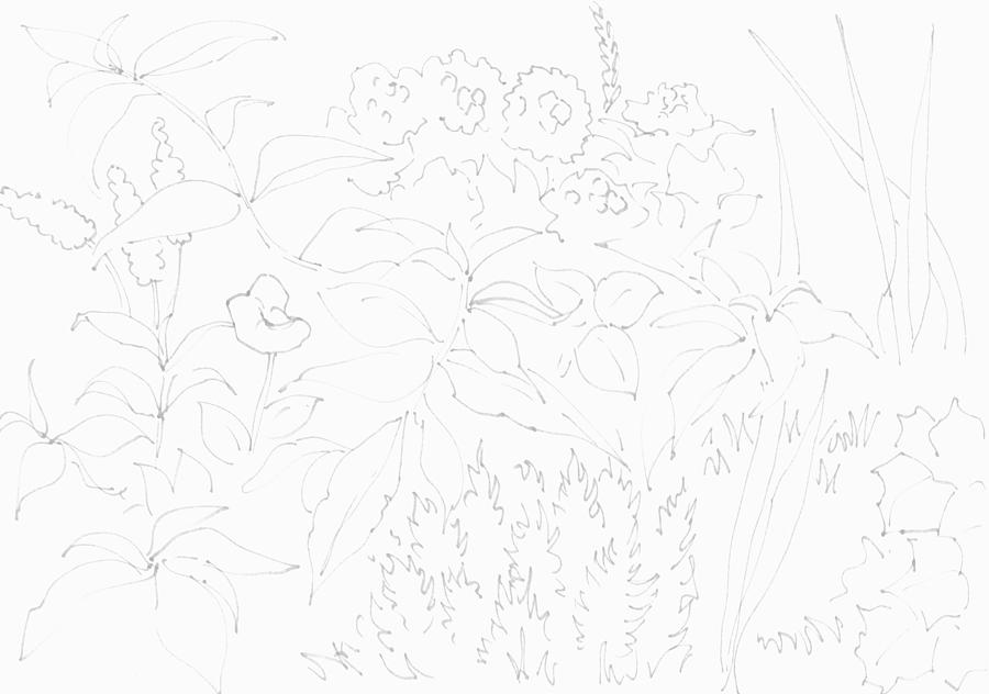 Summer Garden In Bloom Pattern - Line Illustration  Drawing by Mike Jory