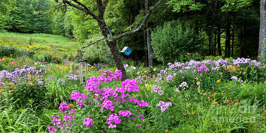 Summer Garden Panorama Photograph by Alan L Graham