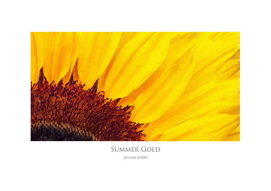 Summer Gold Digital Art by Julian Perry