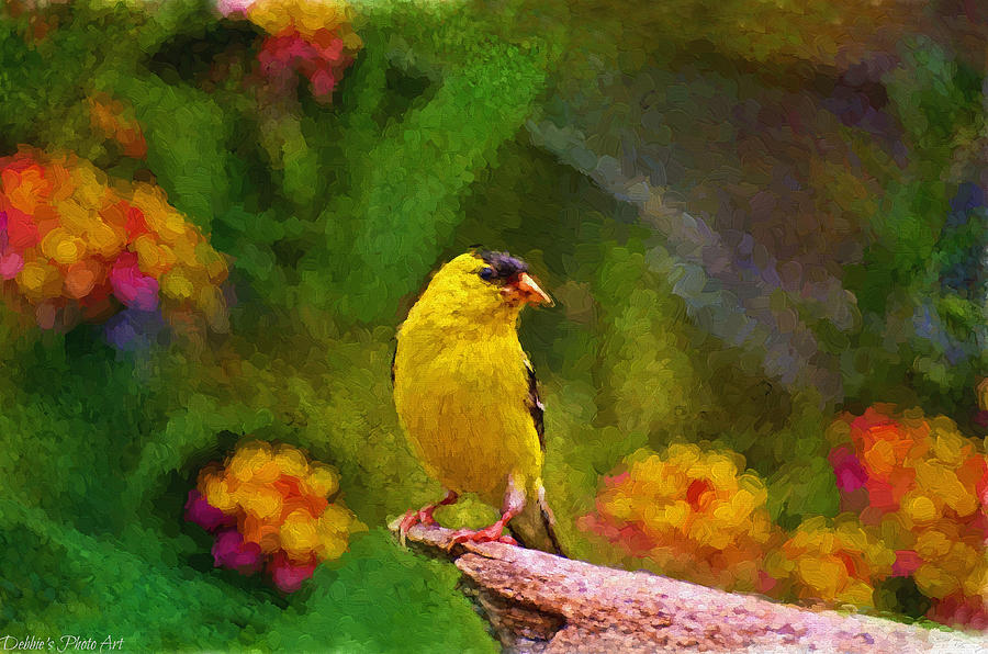 Winter Photograph - Summer Goldfinch - Digital Paint  by Debbie Portwood