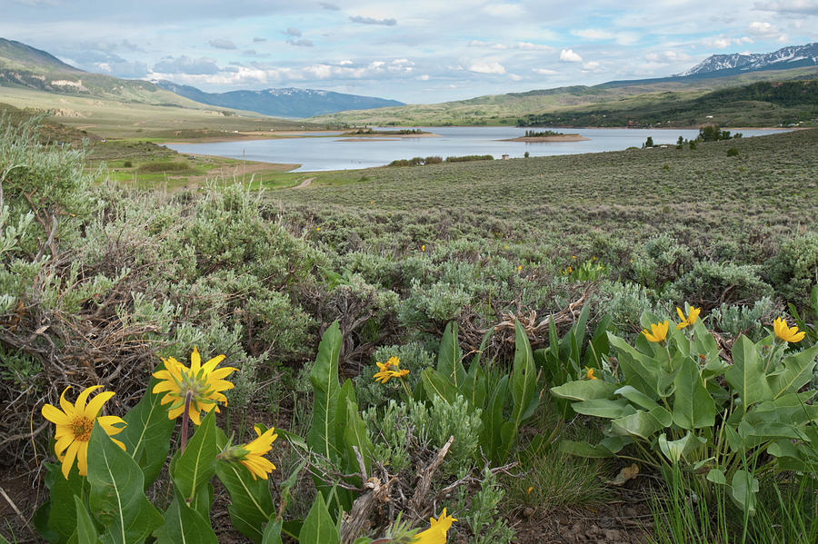 Mountain Photograph - Summer Green Mountain Reservoir Landscape by Cascade Colors