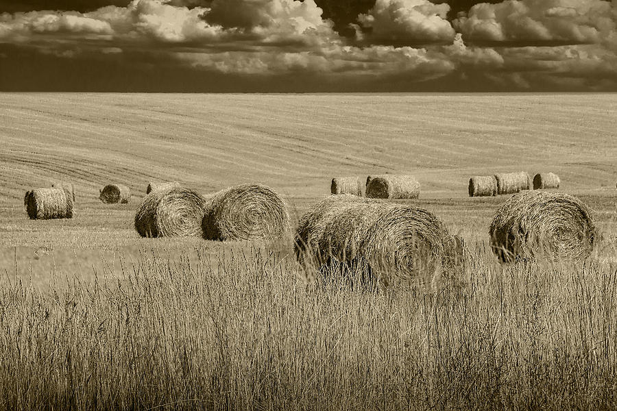 Summer Harvest Field with Hay Bales in Sepia Photograph by Randall Nyhof