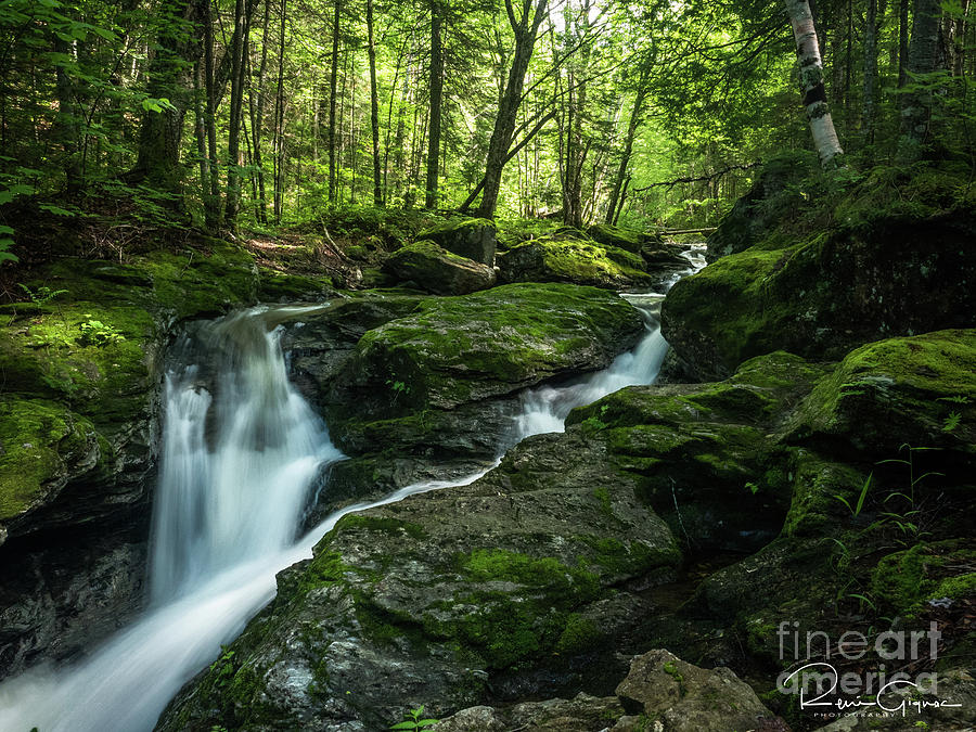 Nature Photograph - Summer Hike by Rene Gignac