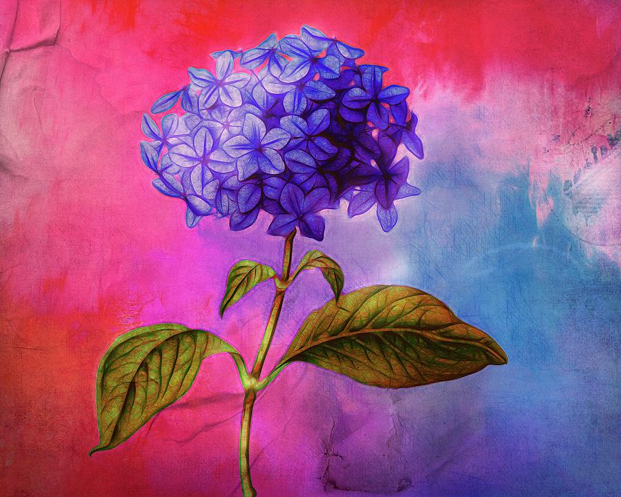 Summer Hydrangea by Terry Fleckney Summer Hydrangea by Terry Fleckney