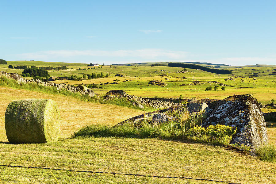 Summer In Aubrac # XII - France Photograph by Paul MAURICE