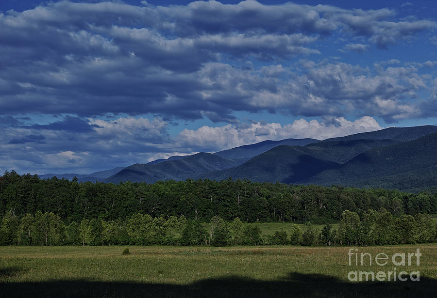 Summer in Cades Cove Photograph by Douglas Stucky