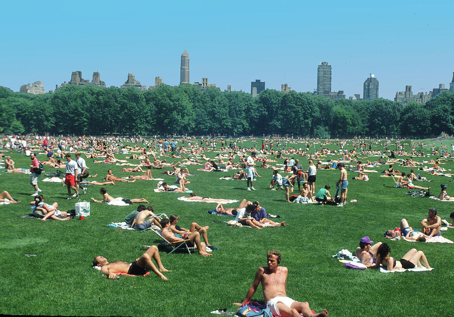 Summer in Central in NYC. is a photograph by Carl Purcell which was uploade...