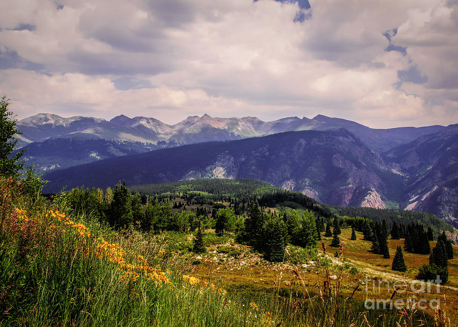 Summer in Colorado Weminuche Wilderness Photograph by Janice Pariza
