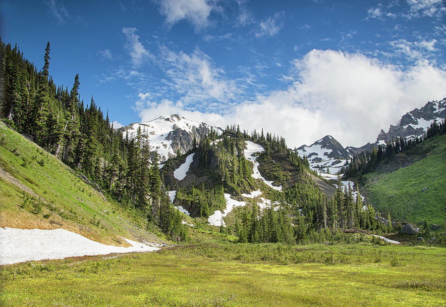 Summer in Olympic national Park Photograph by Kunal Mehra