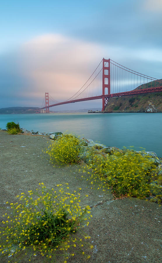 Summer In The Bay Photograph by Jonathan Nguyen