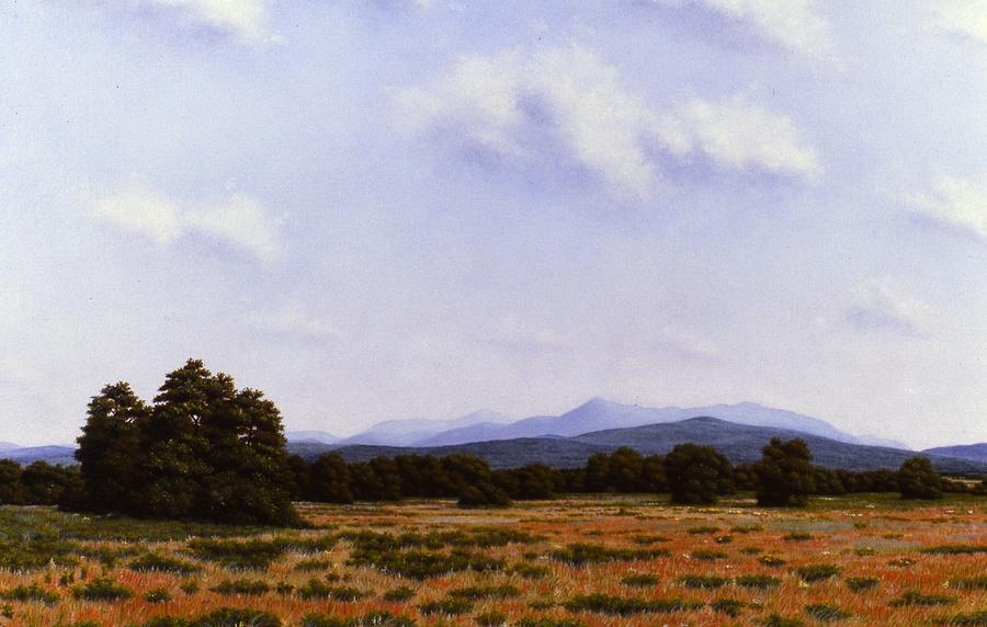 Landscape Painting - Summer in the High Peaks of The Adirondacks by Anthony Petchkis Landscape Painting - Summer in the High Peaks of The Adirondacks by Anthony Petchkis