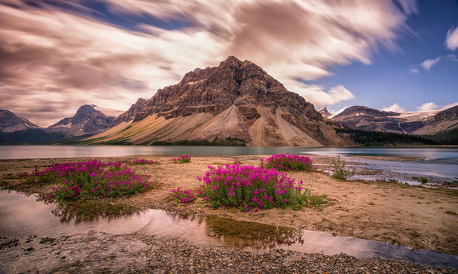 Summer in the Mountains Photograph by Yves Gagnon