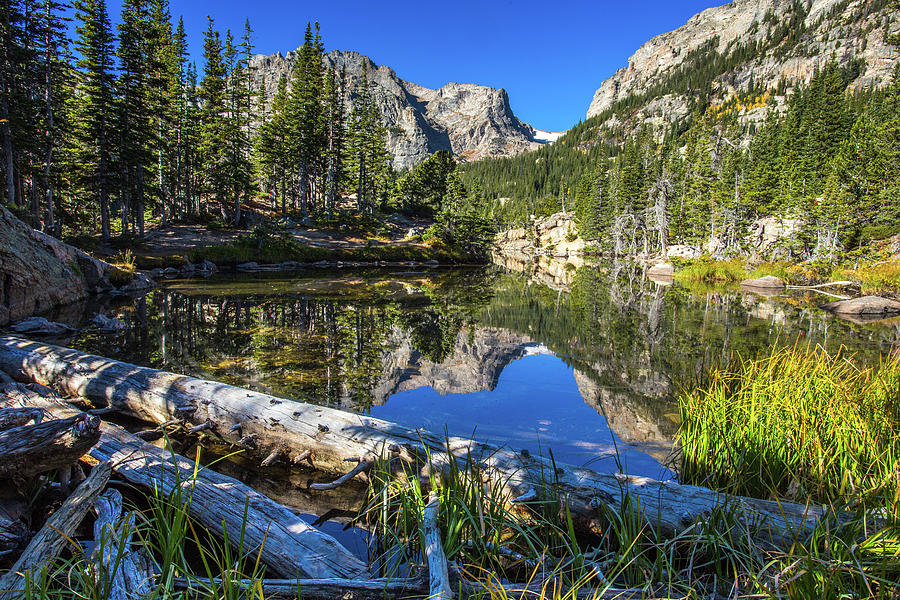 Summer in the Park Photograph by Trent Poole - Fine Art America