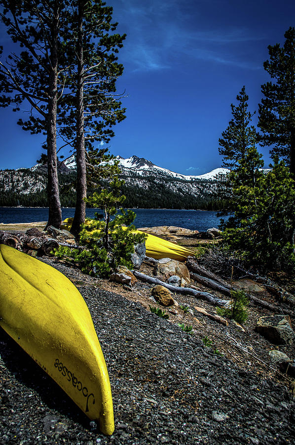 Summer in the Sierra Photograph by Steph Gabler
