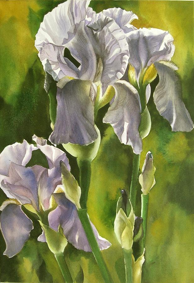 Summer Irises Painting by Alfred Ng