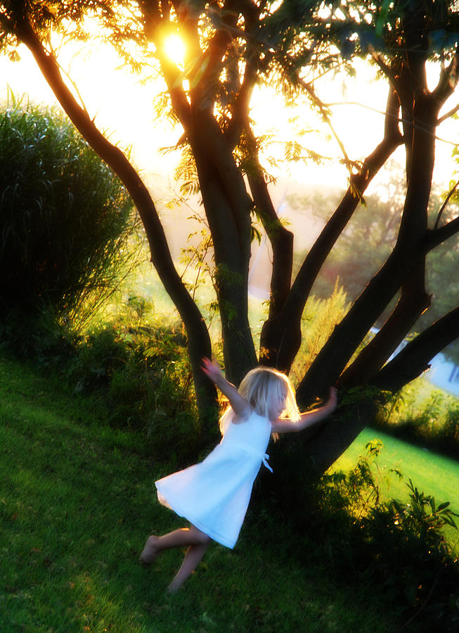 Tree Photograph - Summer Joy by Cheryl Helms