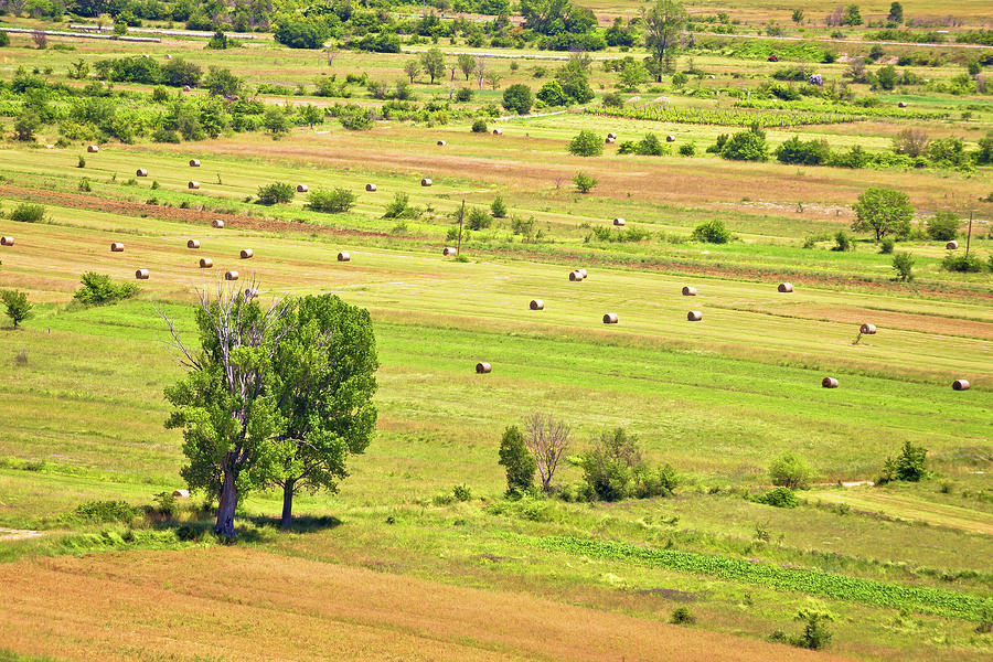 Summer landscape of Petrovo Polje Photograph by Brch Photography