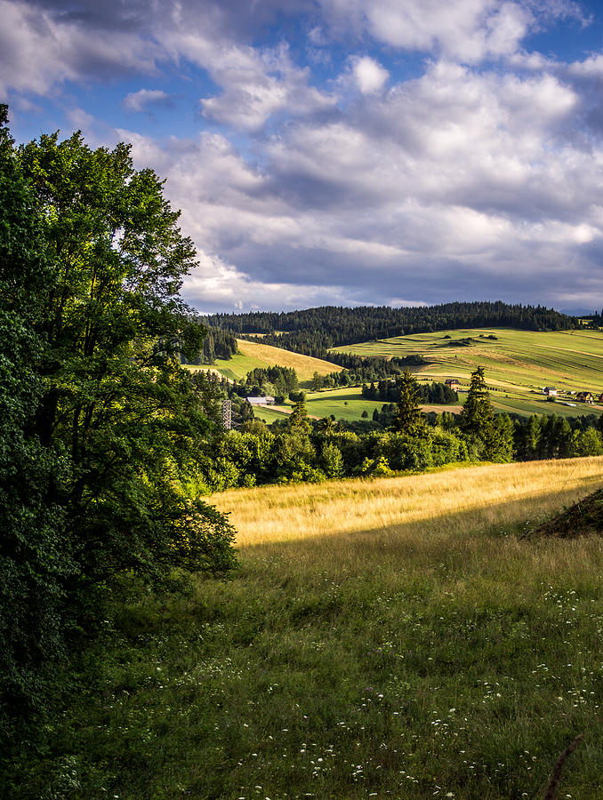 Summer Landscape Photograph by Pati Photography
