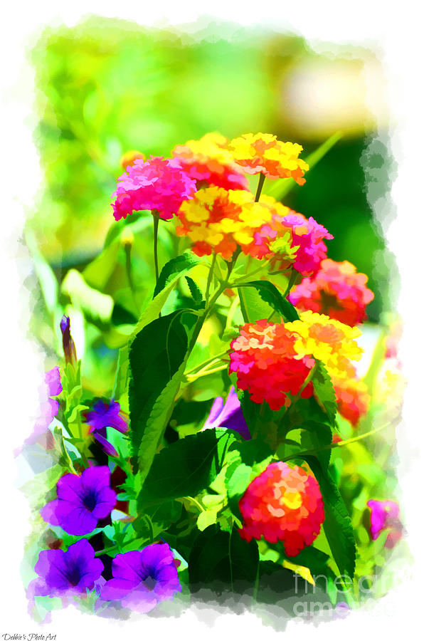 Summer Lantana Garden - Digital Paint 1 Photograph by Debbie Portwood