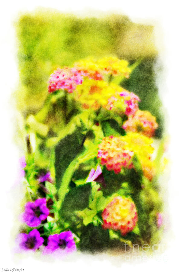 Summer Lantana Garden - Digital Paint - 5 Photograph by Debbie Portwood