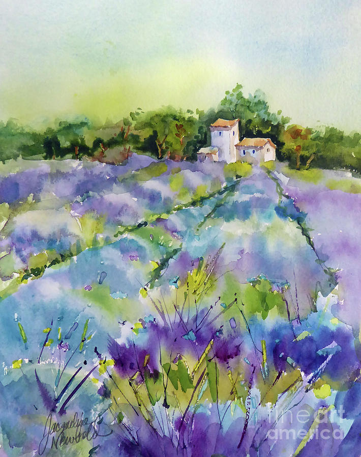 Summer Lavender Painting by Jacqueline Newbold - Fine Art America