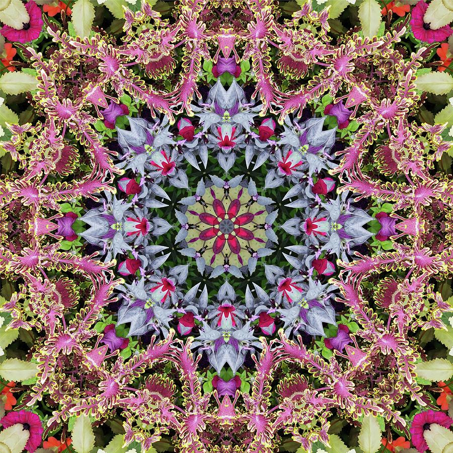 Garden Kaleidoscope At Olbrich >> Summer Leaves Kaleidoscope Olbrich Botanical Gardens Digital Art Garden Kaleidoscope At Olbrich >> Summer Leaves Kaleidoscope Olbrich Botanical Gardens Digital Art