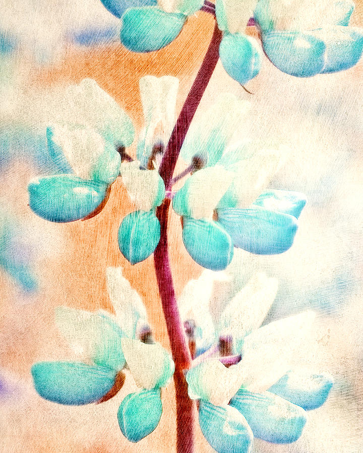 Summer Lupine Painting by Bonnie Bruno