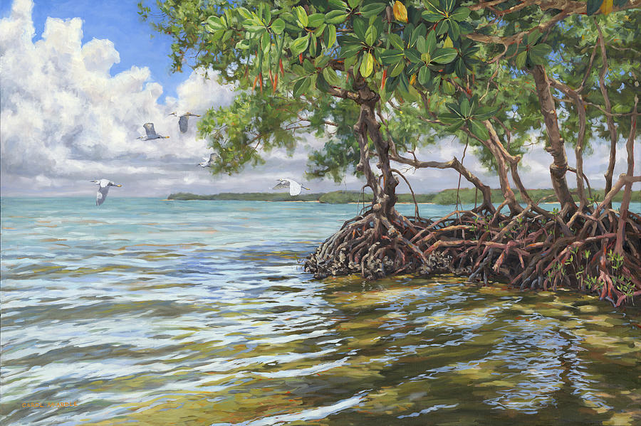 summer-mangrove-melody-carol-mcardle.jpg