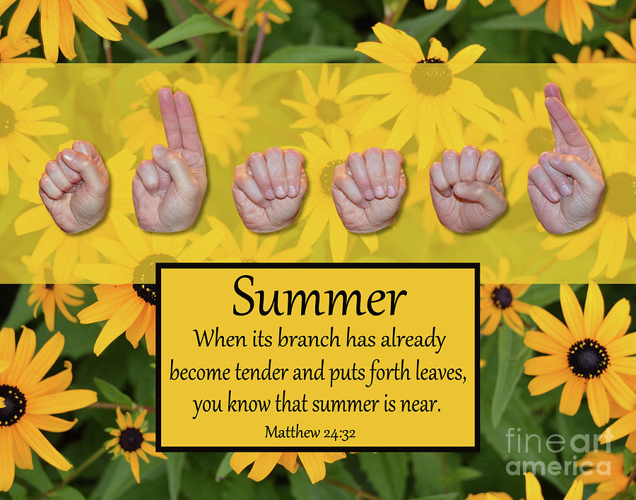 Christian Photograph - Summer by Masters Hand Collection Christian Photograph - Summer by Masters Hand Collection