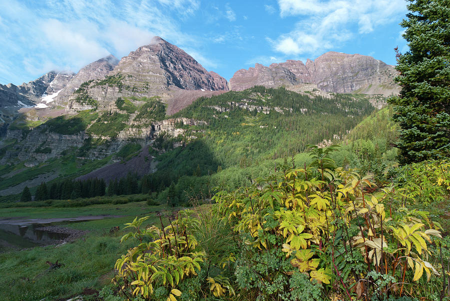 Summer Meets Autumn at the Maroon Bells Photograph by Cascade Colors