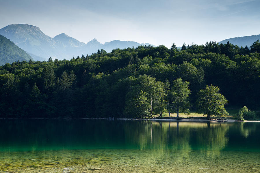 Mountain Photograph - Summer morning at Lake Bohinj in Slovenia by Ian Middleton