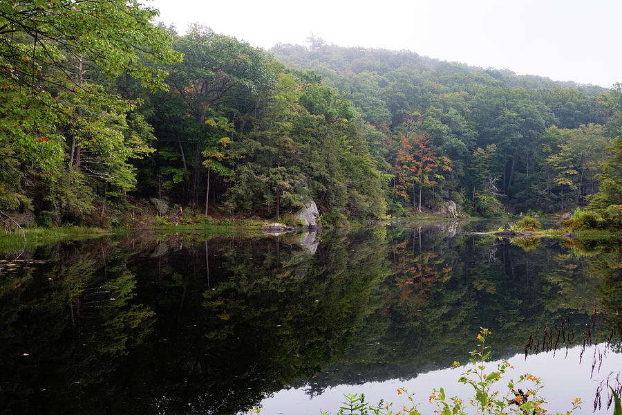 Summer Morning at Sanctuary Pond Photograph by Jeff Severson