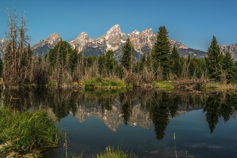 Summer Morning At Schwabachers Landing Photograph by Yeates Photography