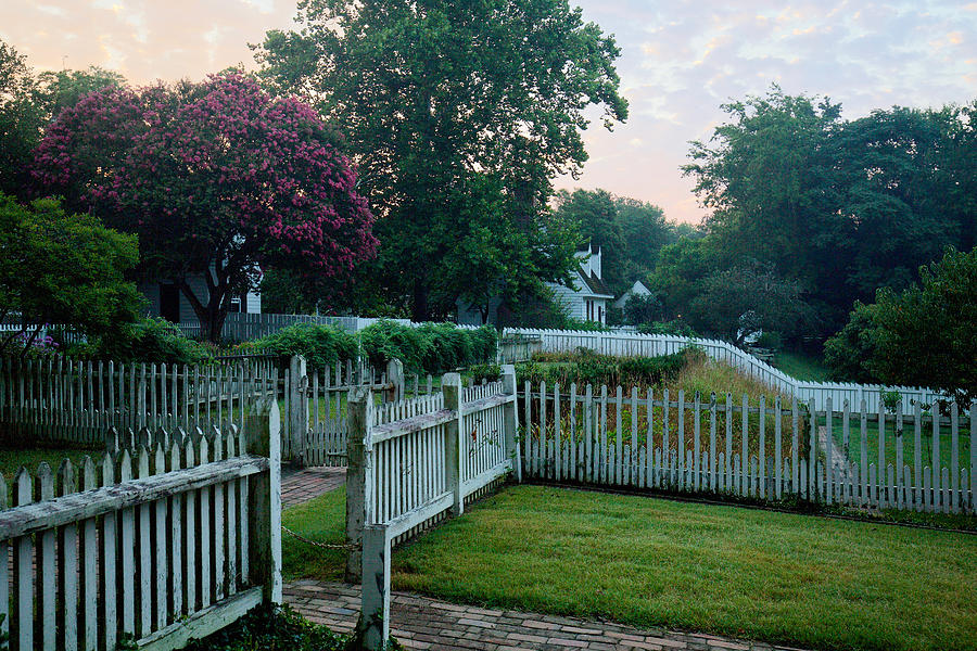 Summer Morning in Colonial Williamsburg Photograph by Rachel Morrison