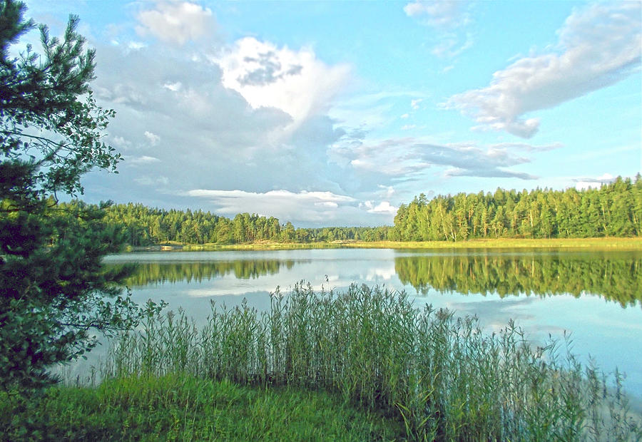 Summer Morning In Finland Photograph by Johanna Hurmerinta