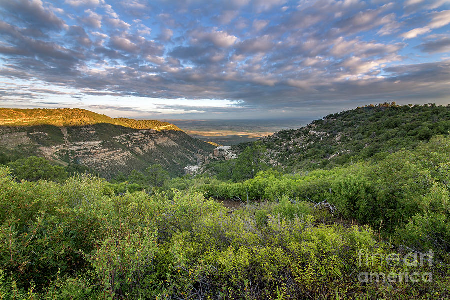 National Parks Photograph - Summer Morning in Mesa Verde by Twenty Two North Photography