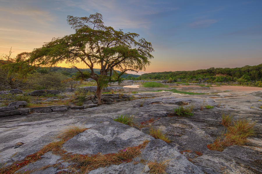 Summer Morning in the Texas Hill Country 8254 Photograph by Rob