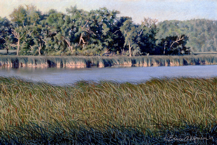Summer Morning on the Slough Drawing by Bruce Morrison