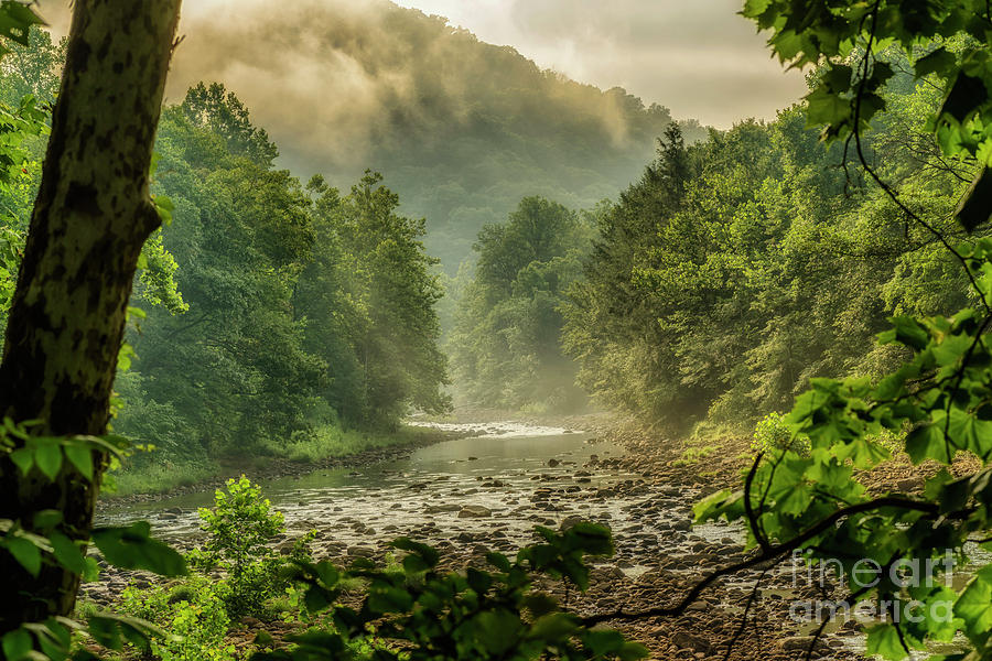 Summer Morning on Williams River Photograph by Thomas R Fletcher