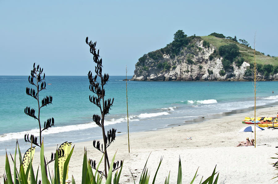 Summer New Zealand Beach Photograph by Yurix Sardinelly
