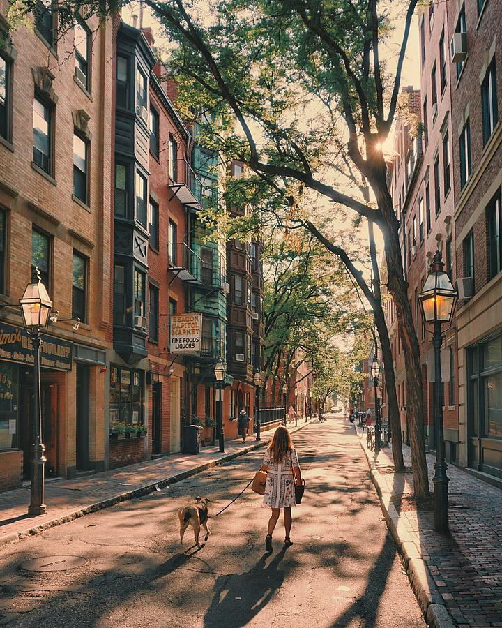 Summer on Myrtle Street Photograph by Brian McWilliams