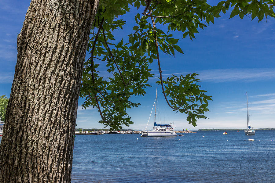 Summer on Lake Champlain Photograph by Tim Kirchoff